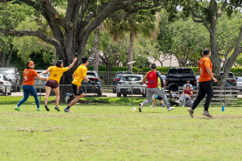 frisbee_2026-1