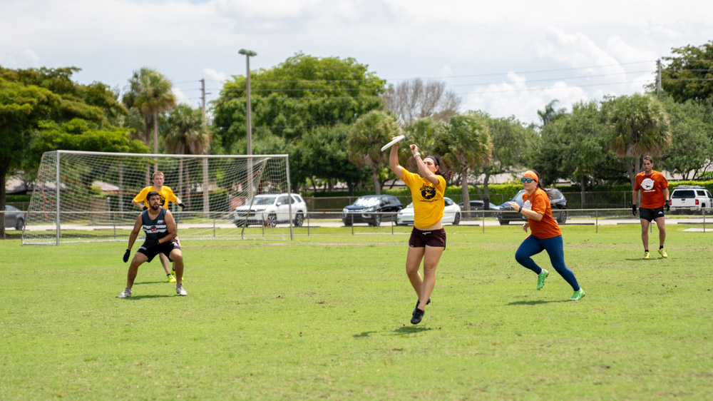 frisbee_2026-4