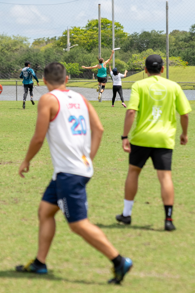 frisbee_2026-17